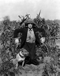 https://en.wikipedia.org/wiki/The_Scarecrow_(1920_film)